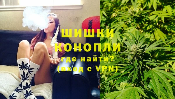 гашик Дегтярск
