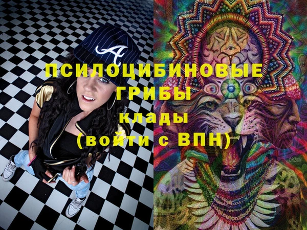 бошки Саяногорск