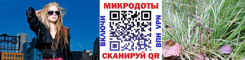 Псилоцибиновые грибы прущие грибы  Судогда 